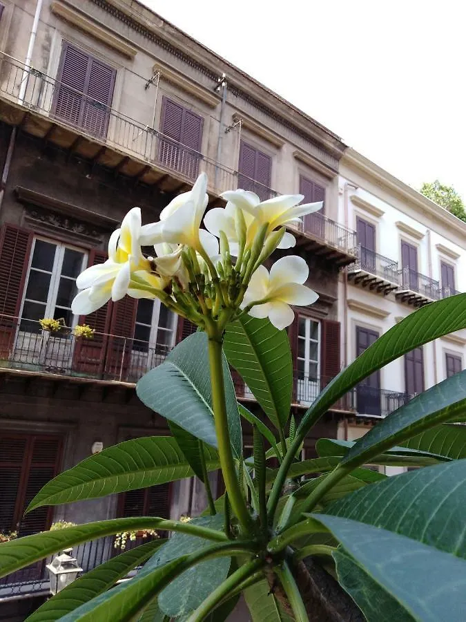 B&B Santa Caterina Palermo Bed & Breakfast